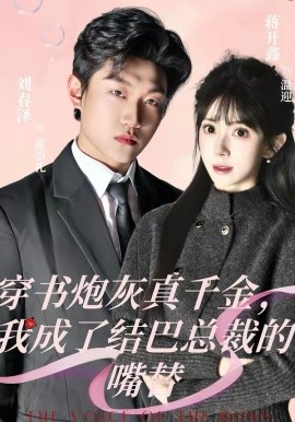 推理综艺海报