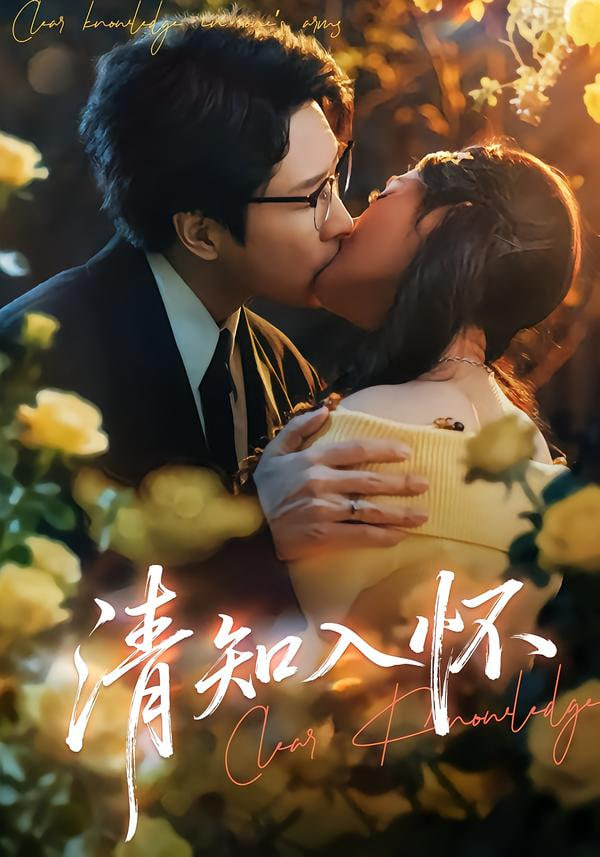 南来北往